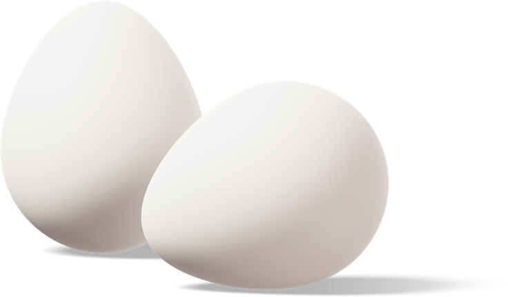 Egg Products
