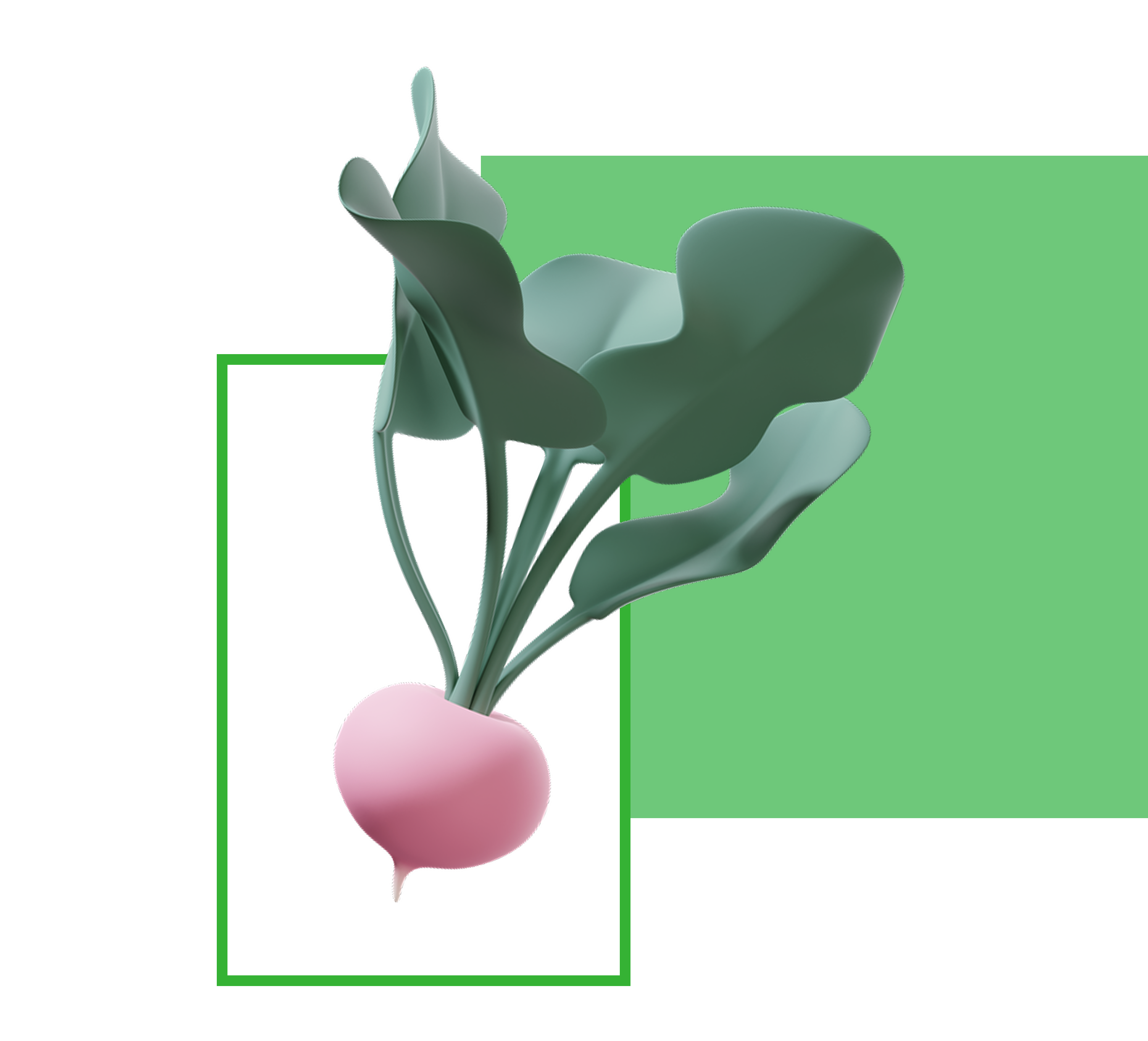 Welcome Image